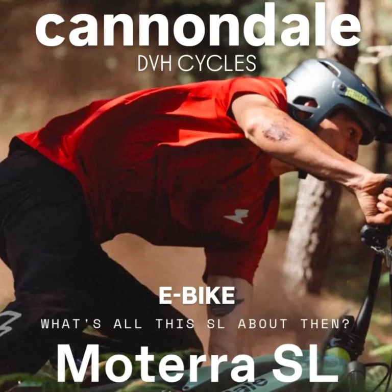 Instagram post from dvh_cycles. This post is in position 3.